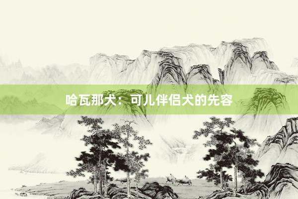哈瓦那犬：可儿伴侣犬的先容