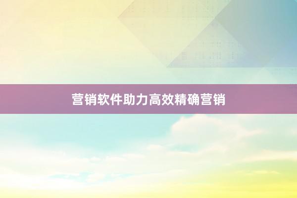 营销软件助力高效精确营销
